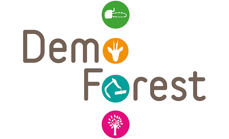 Demo Forest 2024 - Beurzen - Blog