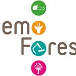 Demo Forest 2024 (BE) - Exhibitions - Blog 1