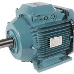 electric motor